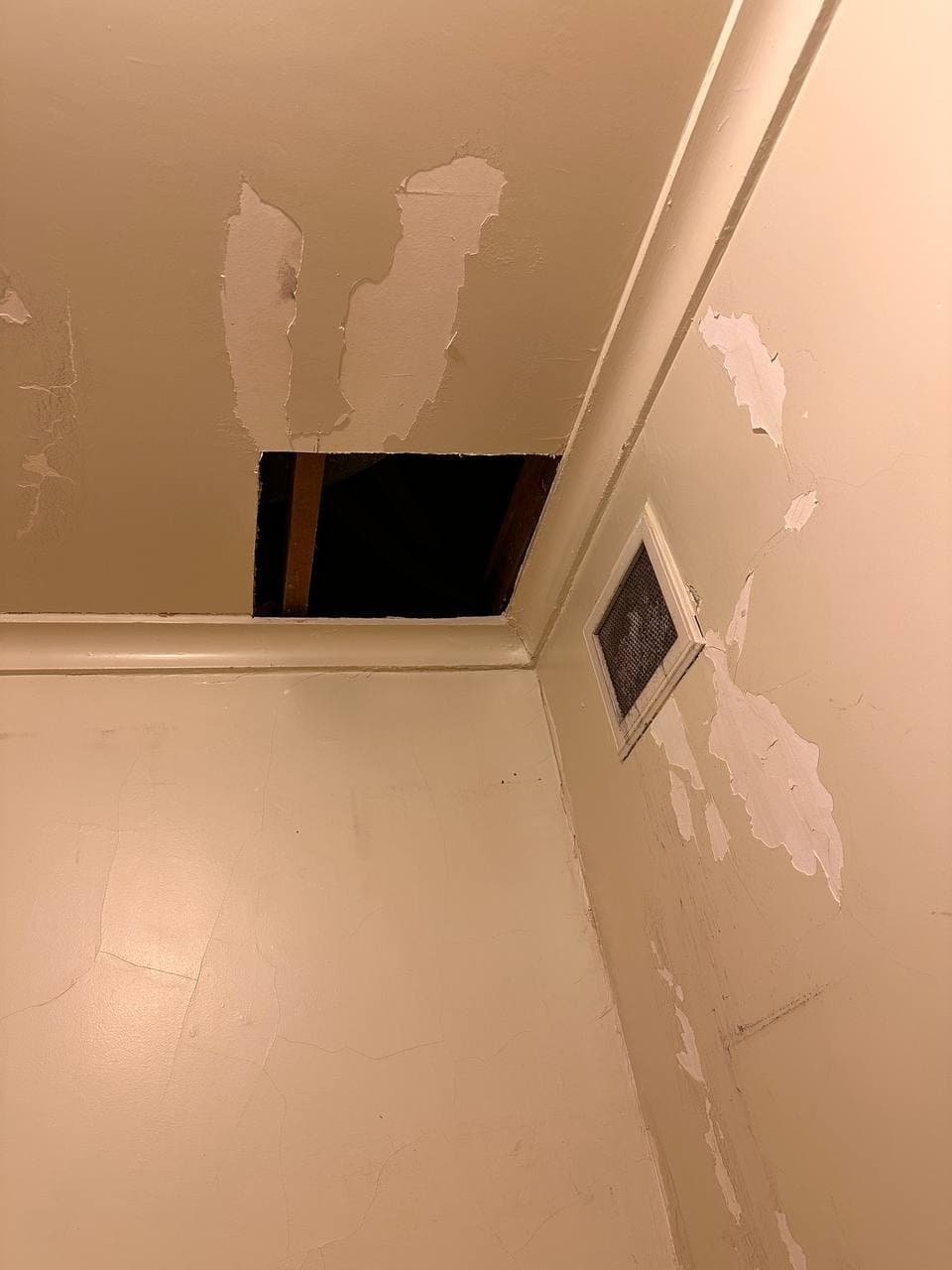 Ceiling Repair & Paint
