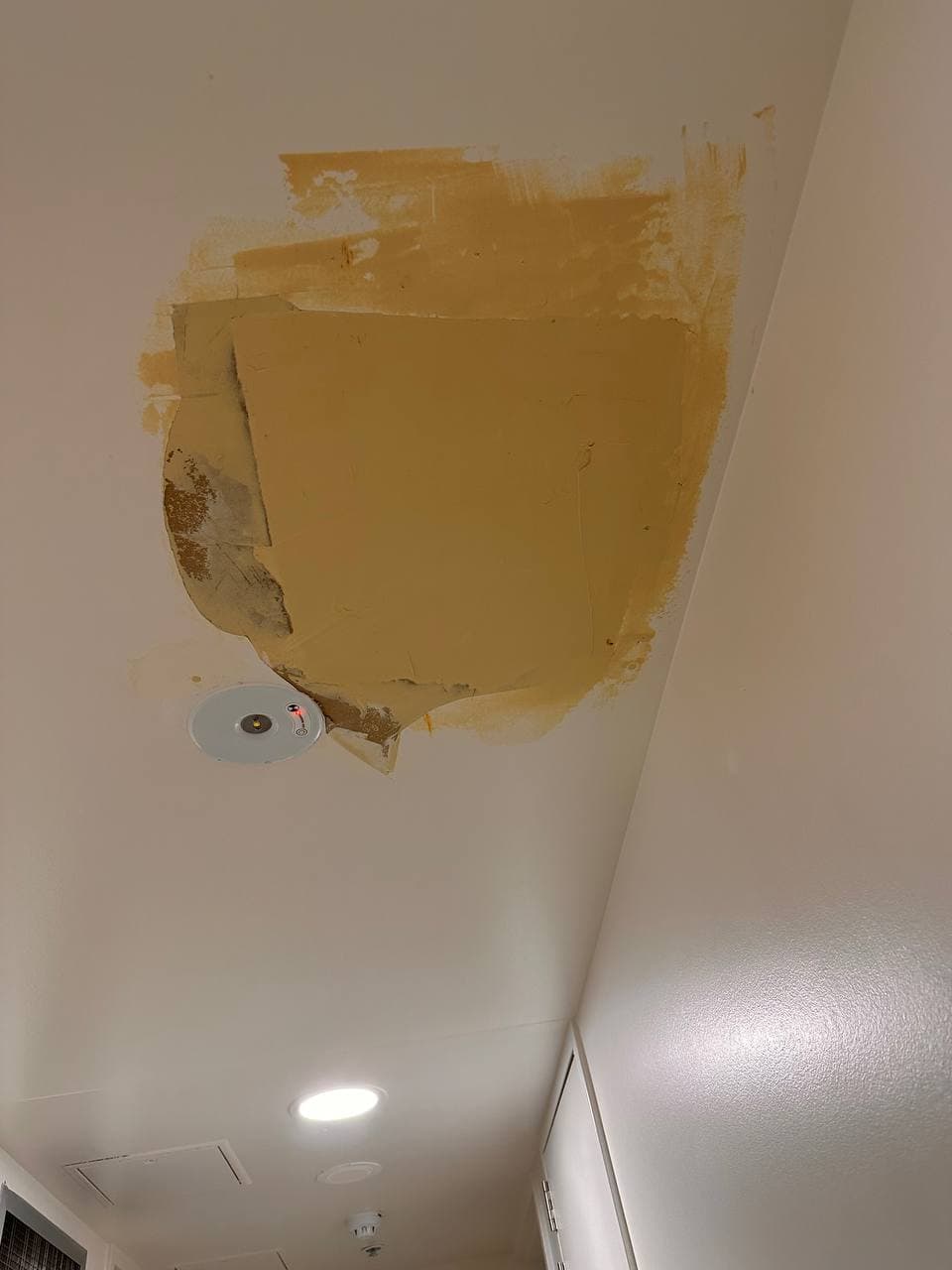 Ceiling Repair & Paint