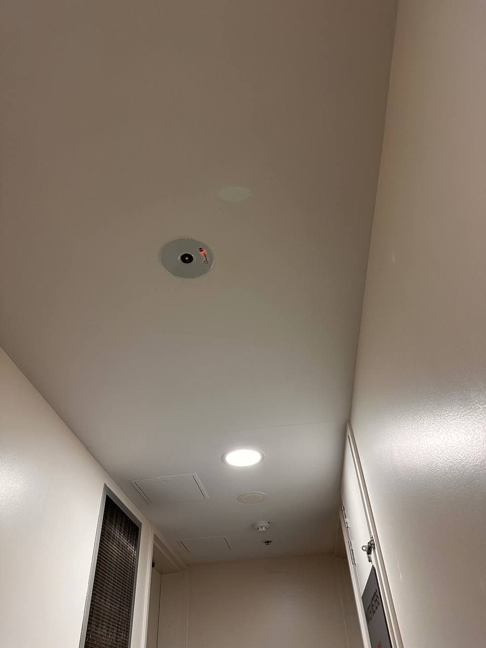 Ceiling Repair & Paint