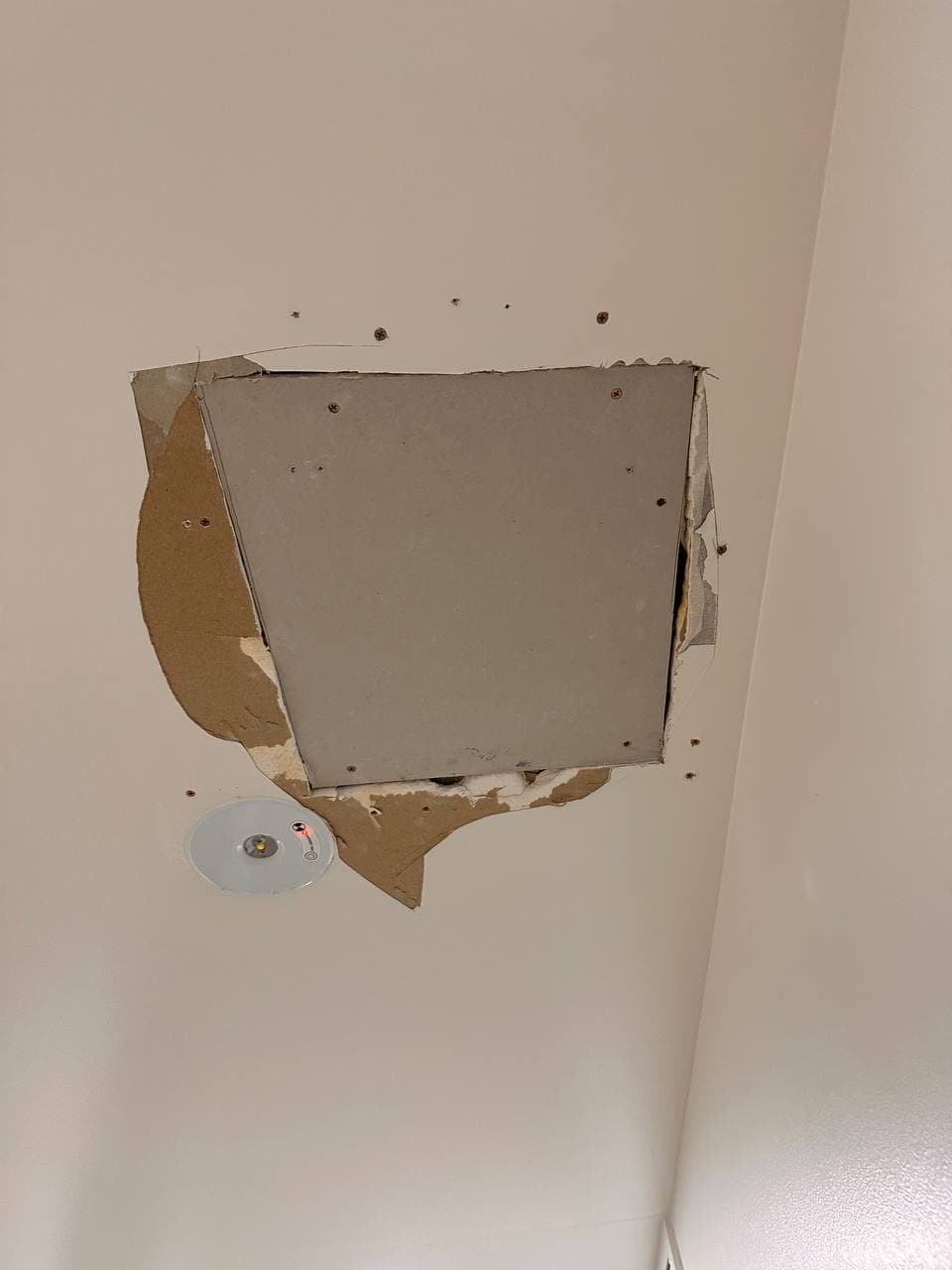 Ceiling Repair & Paint