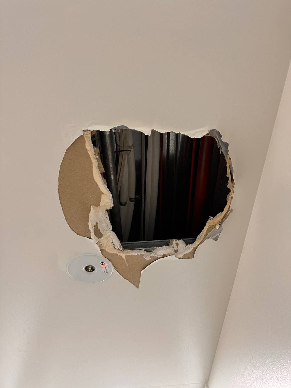 Ceiling Repair & Paint