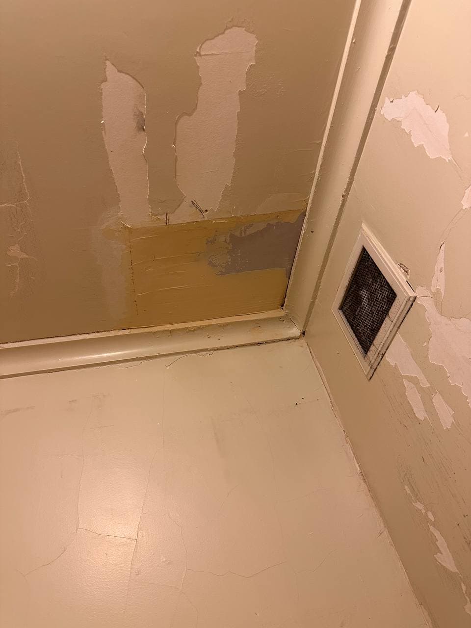 Ceiling Repair & Paint