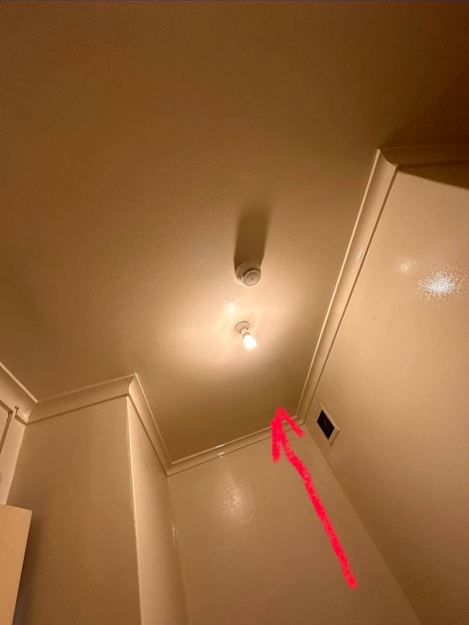 Ceiling Repair & Paint