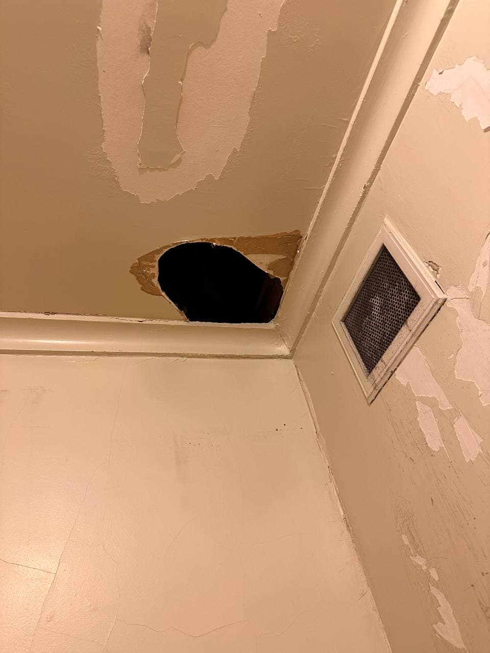 Ceiling Repair & Paint