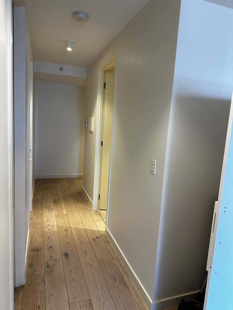 Wall Repaint