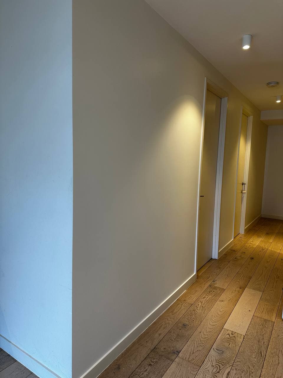 Wall Repaint